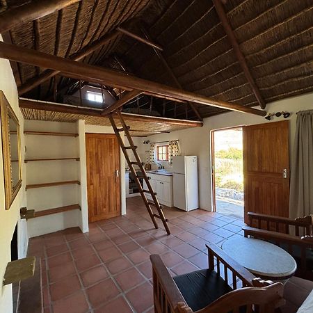 Enjo Nature Farm Clanwilliam Extérieur photo
