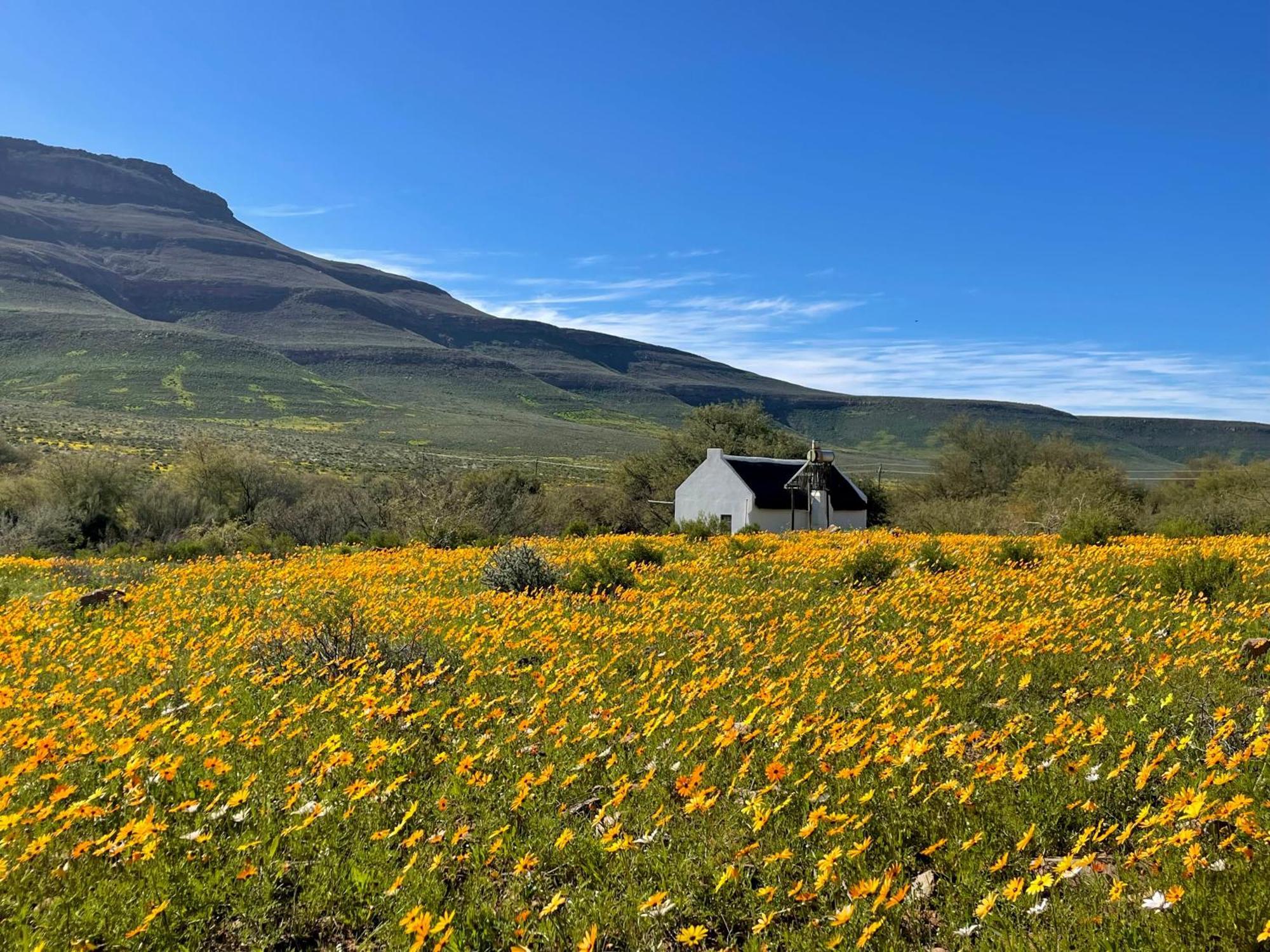Enjo Nature Farm Clanwilliam Extérieur photo