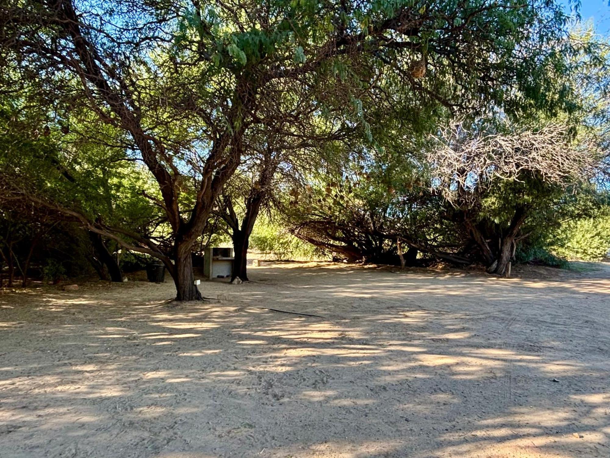 Enjo Nature Farm Clanwilliam Extérieur photo